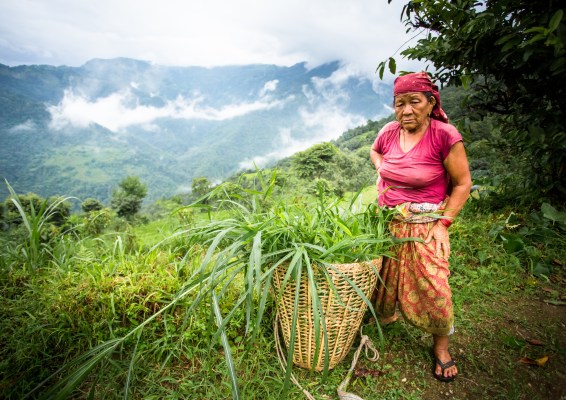 nepal