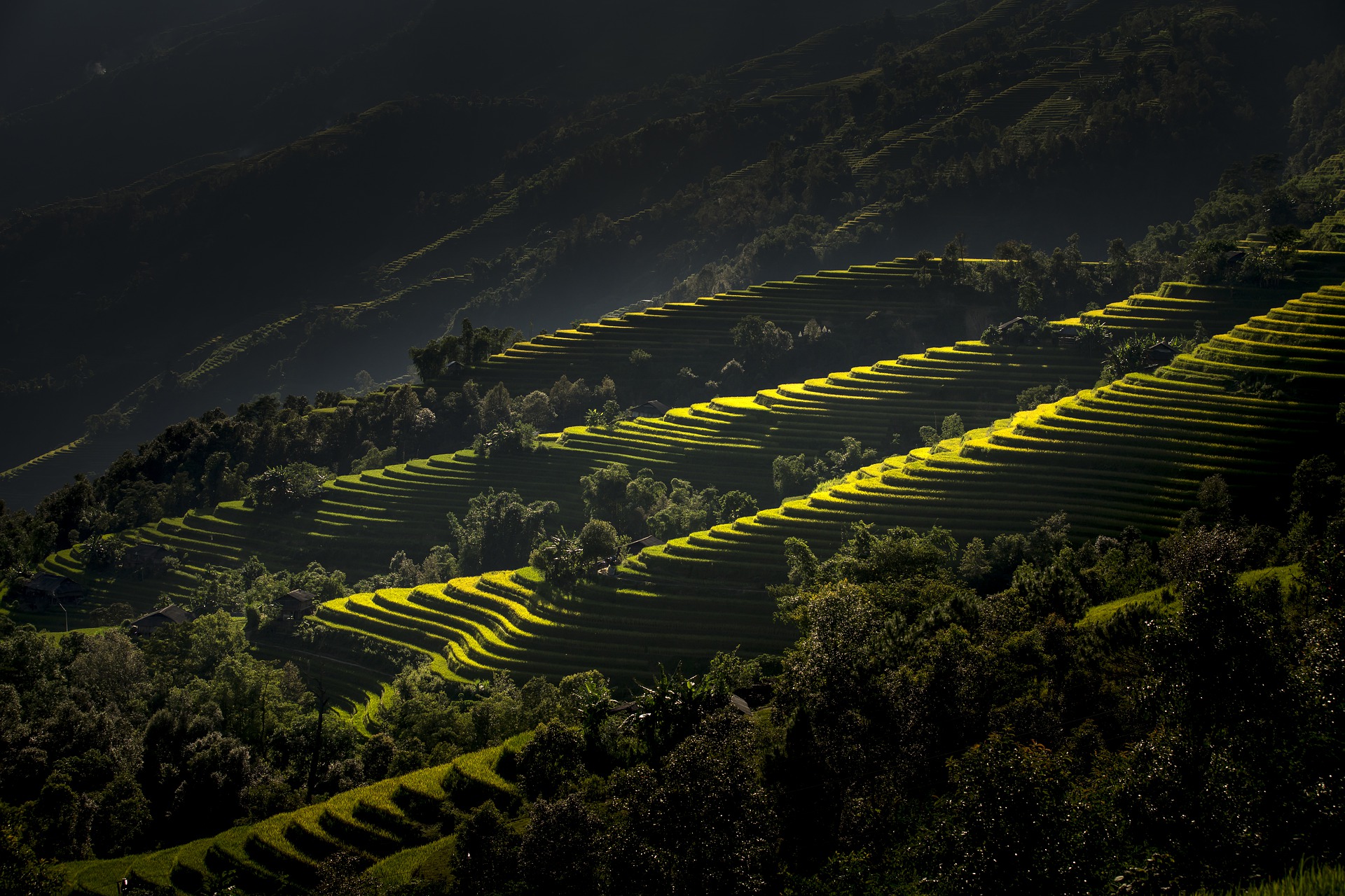 mountain farming