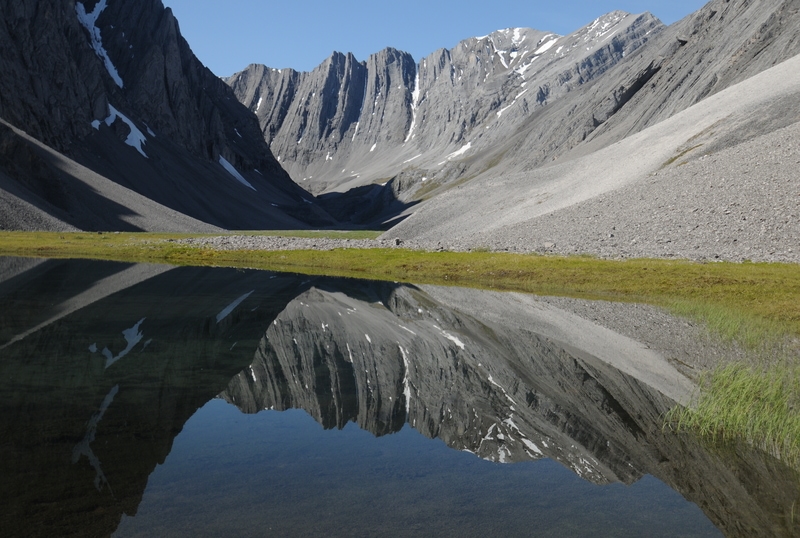 arctic refuge