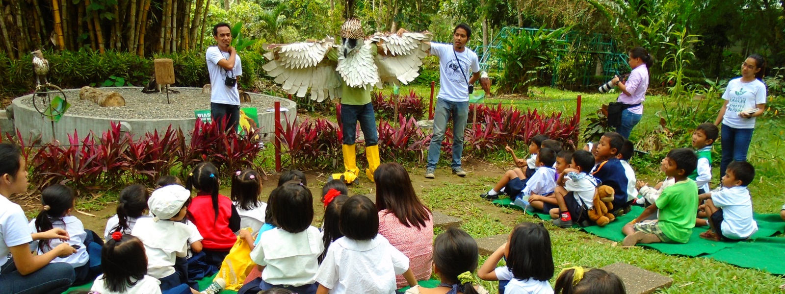 Philippine eagle