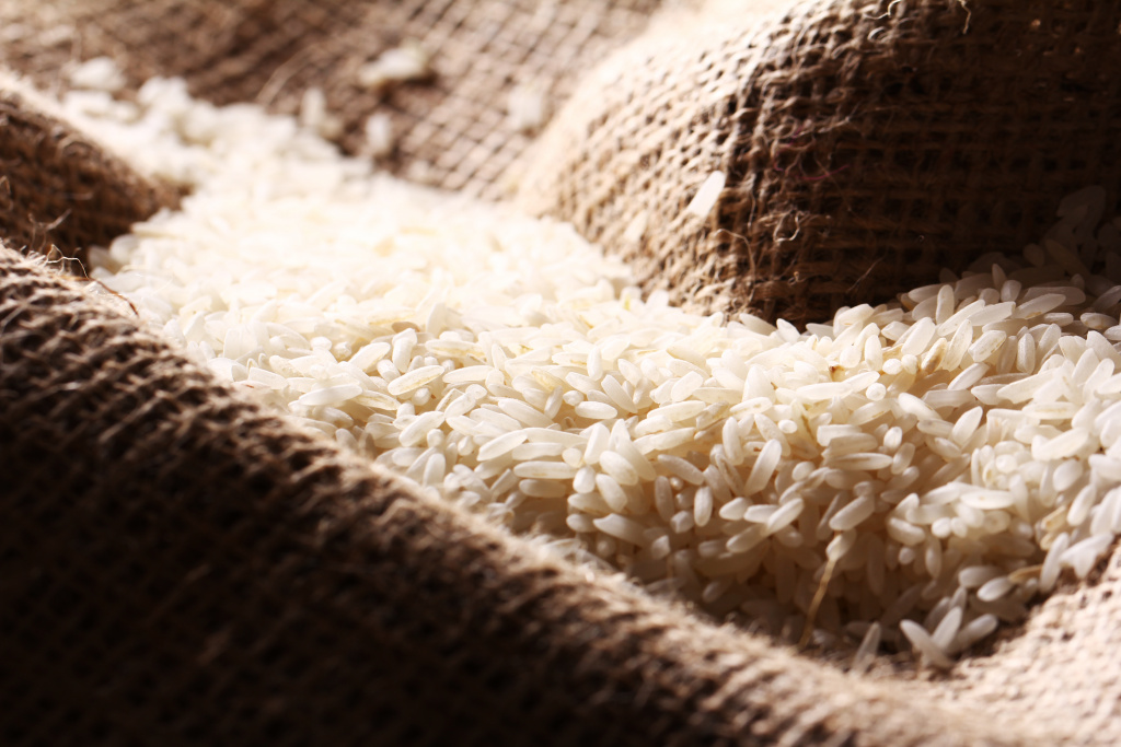 Contamination of Rice Grains