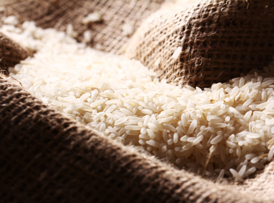 Contamination of Rice Grains