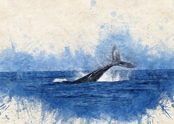 The Mystic World of Whales