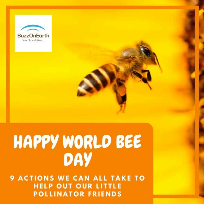 Save The World S Bees Buzzonearth