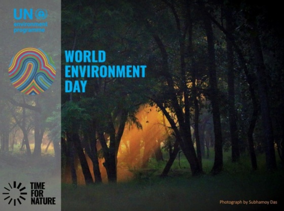 World Environment Day 2020: Why Forests Matter for Our Survival