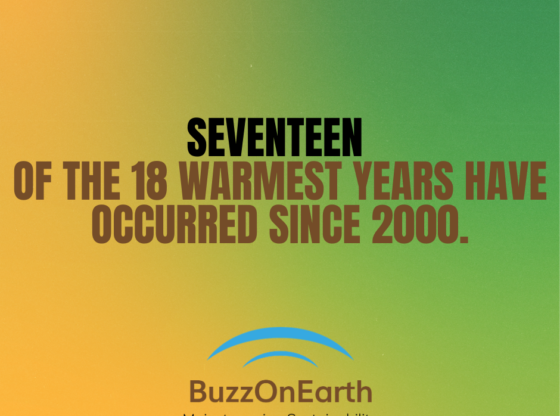 The Warmest Year Ever