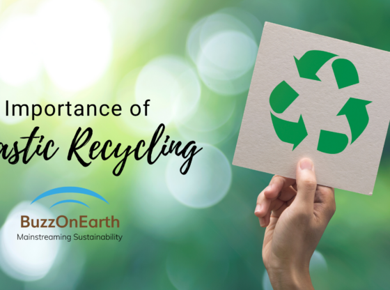 Importance of Plastic Recycling