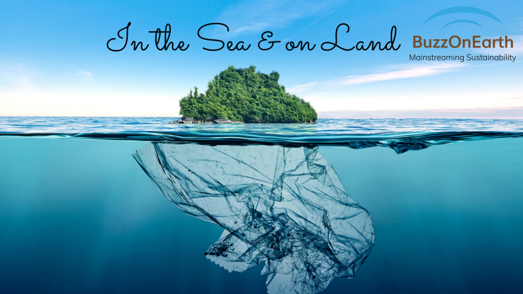 Importance of Plastic Recycling: Presence on the Land and the Sea