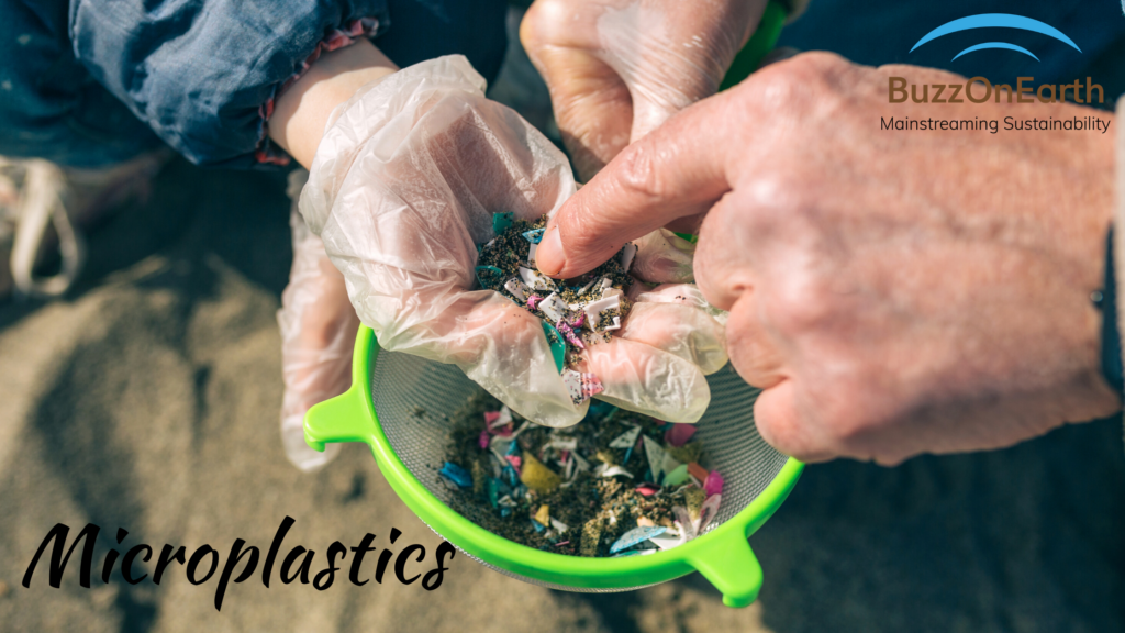 Importance of Plastic Recycling: Microplastics