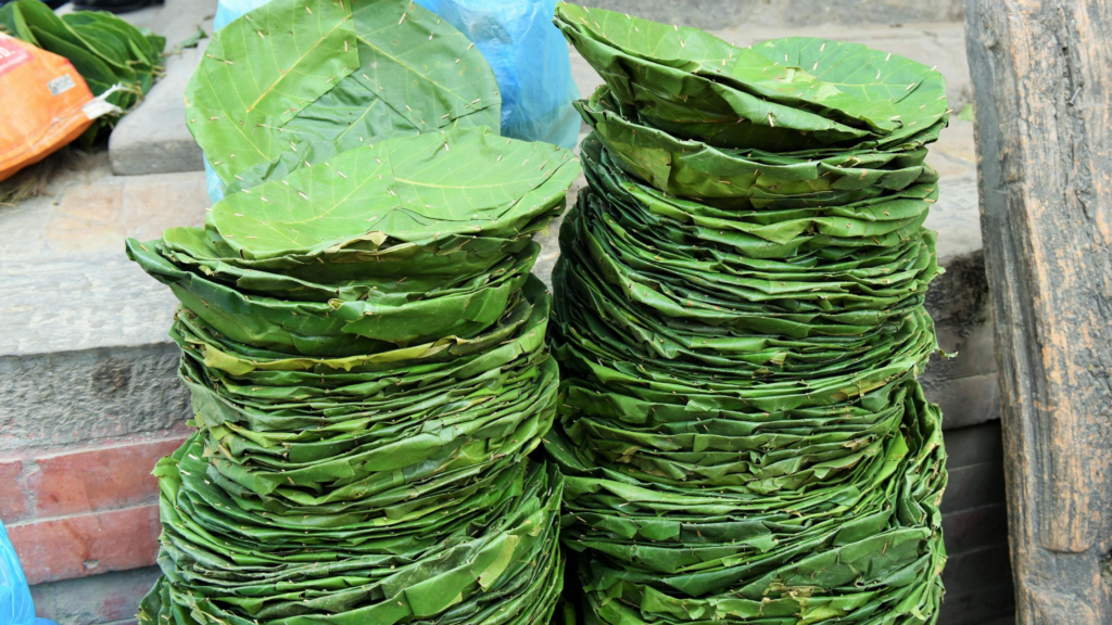 Eco-Friendly Cutlery: Leaf plates