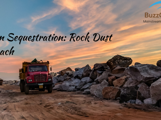 Rock dust approach to Carbon Sequestration