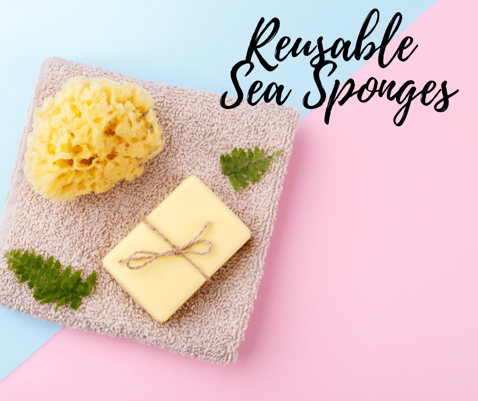 Reusable Sea Sponge