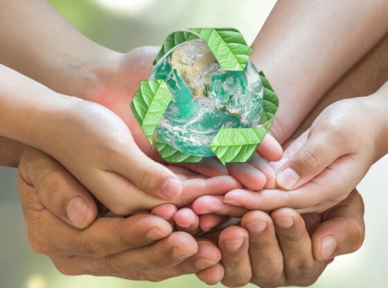 PET Recycling_ Towards a Circular Economy