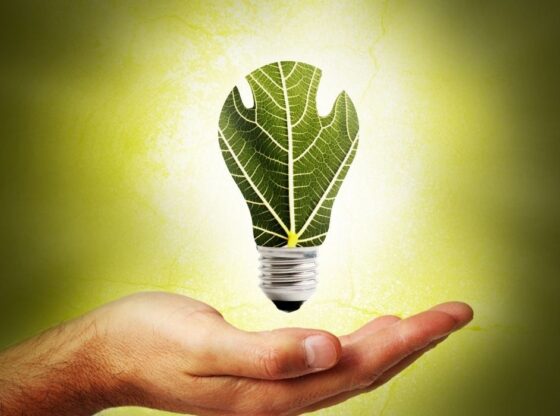 Top 9 Startups for renewable energy in India that you should know