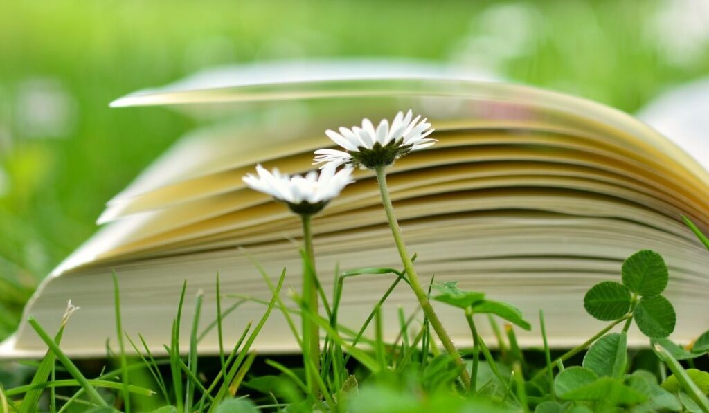 Best Environmental books