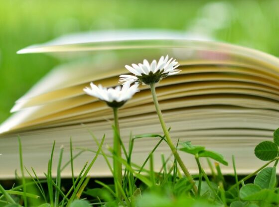 Best Environmental books