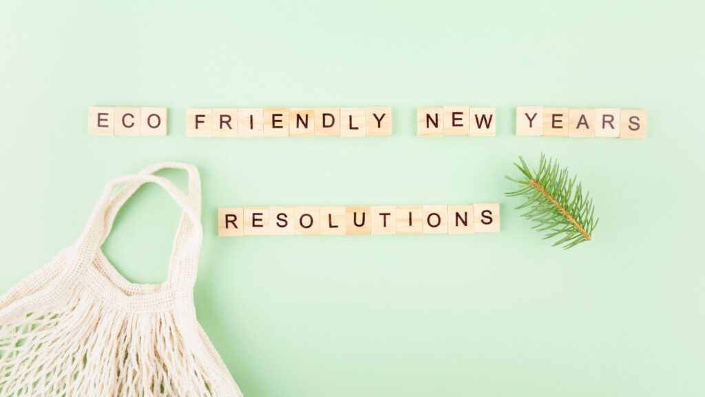 Top 6 Eco Resolutions for 2021