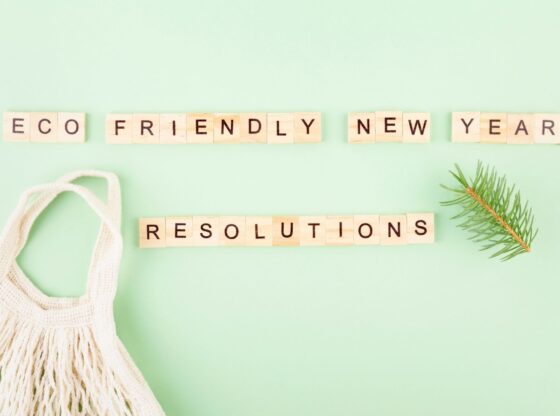 Top 6 Eco Resolutions for 2021