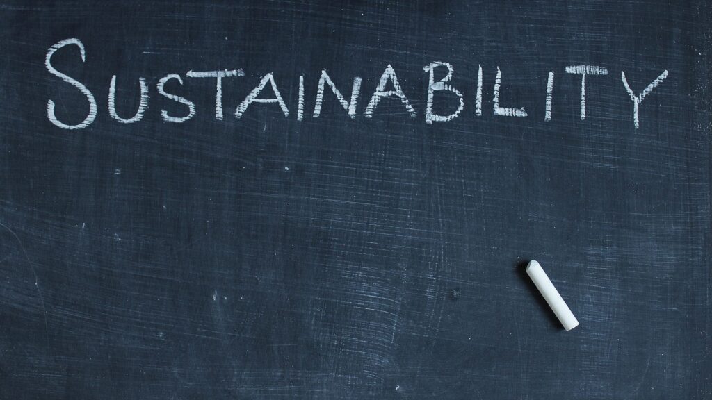 How do you define Sustainable Strategy