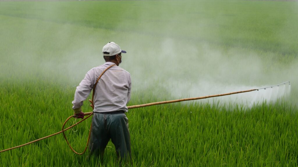 Harmful Effects of Pesticides