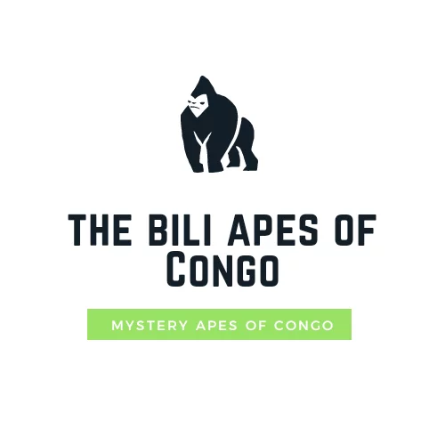 Bili apes of congo