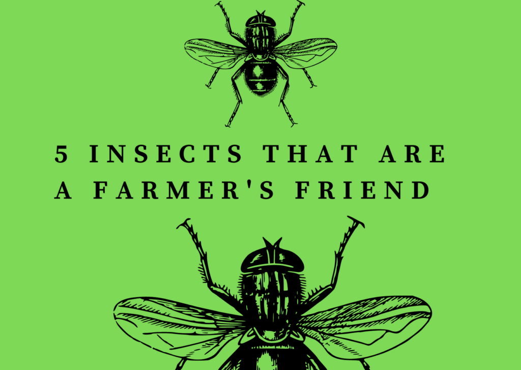 Farmers Friendly species | Farmer Friendly Insects