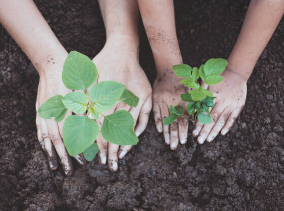 items you can compost