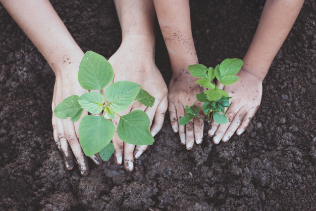 items you can compost