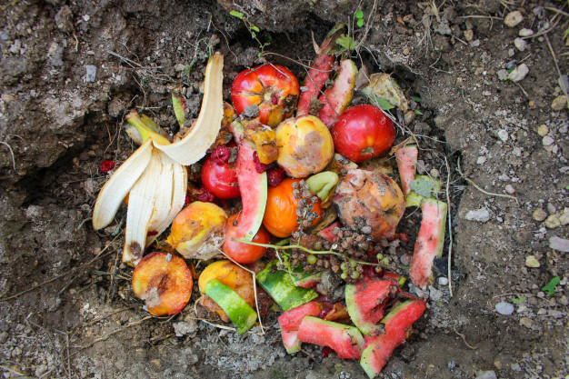 Benefits of composting at home