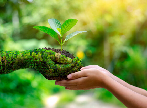 12 simple ways to help the environment at home