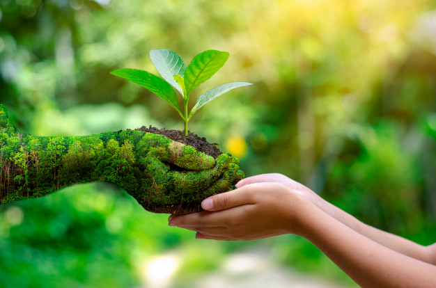 12 simple ways to help the environment at home