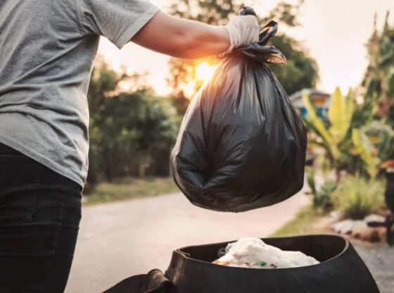 zero waste kitchen