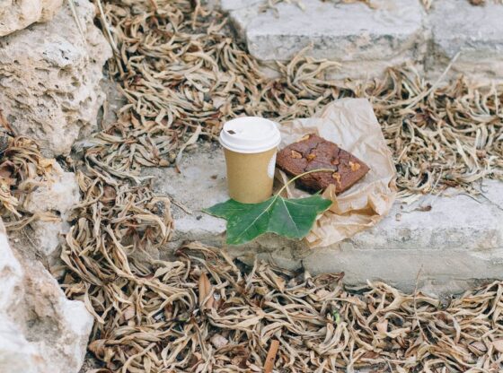 brown dried leaves on white concrete floor