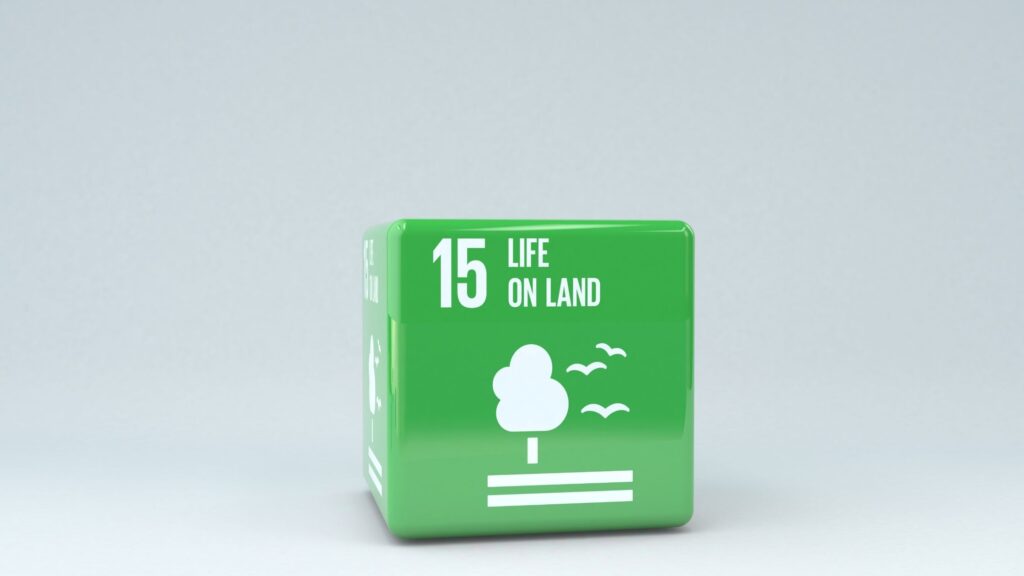 Sustainable Development