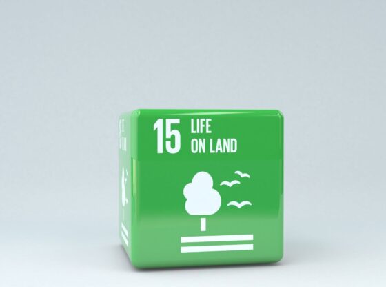 Sustainable Development